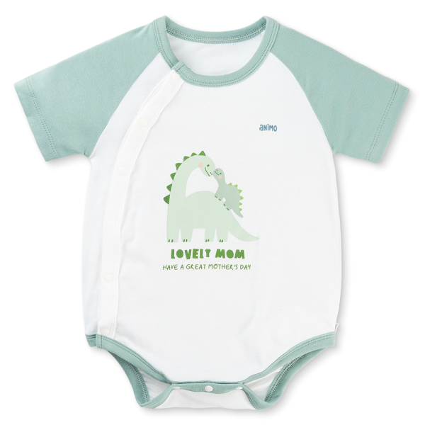 Set 2 Bodysuit kháng khuẩn Modal tam giác Animo VD0825022 (0-9M,Lá-dương,DD06)