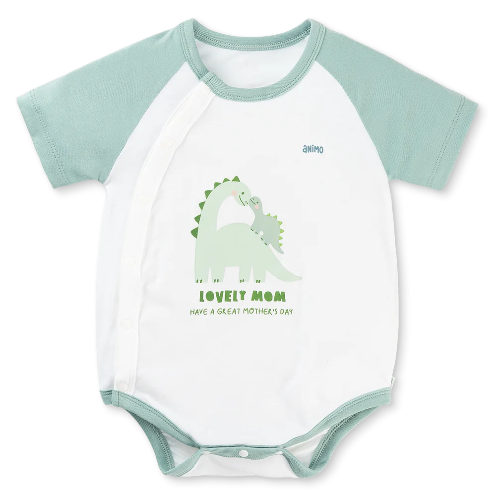 Set 2 Bodysuit kháng khuẩn Modal tam giác Animo VD0825022 (0-9M,Lá-dương,DD06)