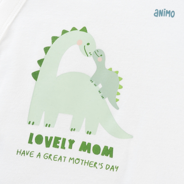 Set 2 Bodysuit kháng khuẩn Modal tam giác Animo VD0825022 (0-9M,Lá-dương,DD06)