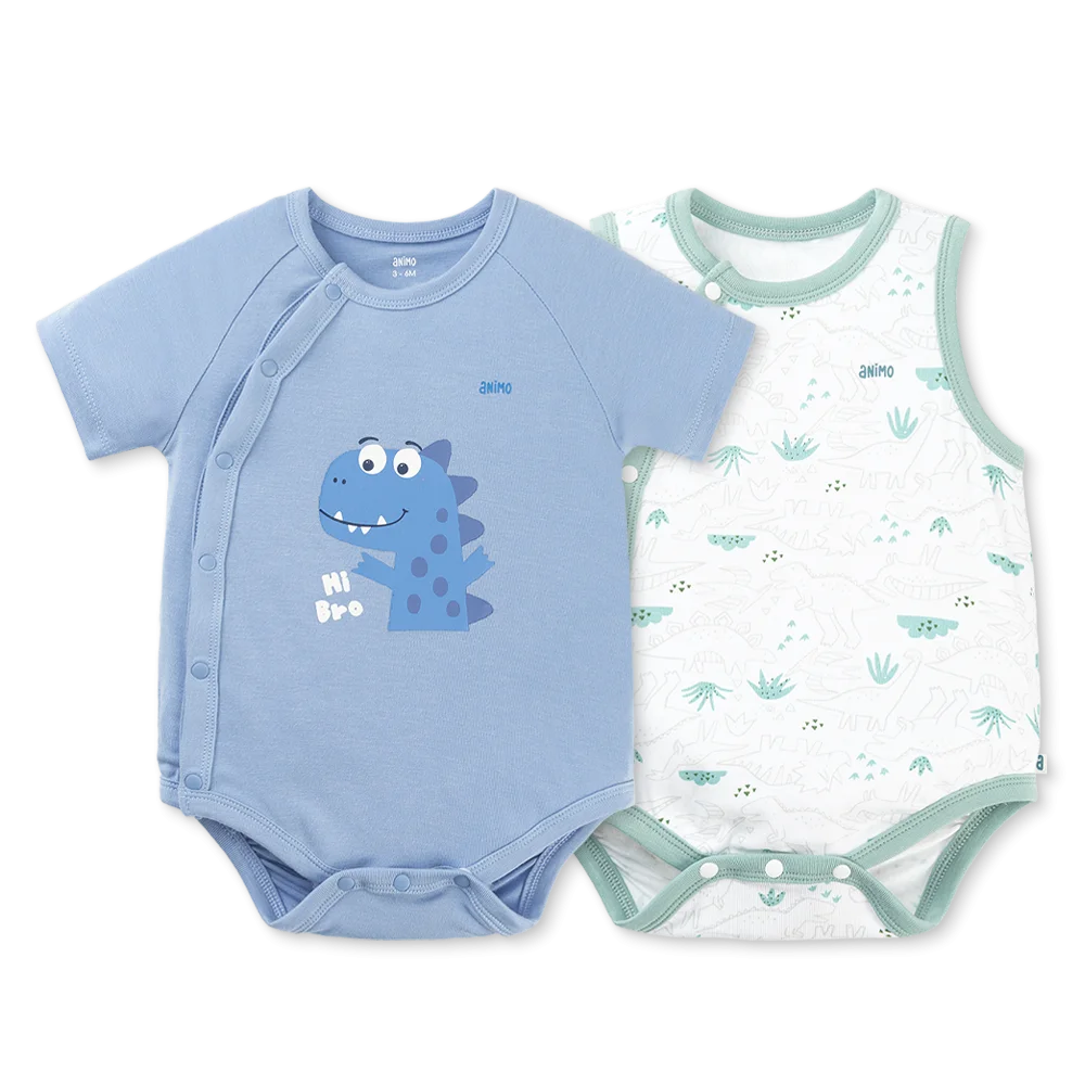 Set 2 Bodysuit kháng khuẩn Modal tam giác Animo VD0825021 (3-6M,Lá-dương,DD06)