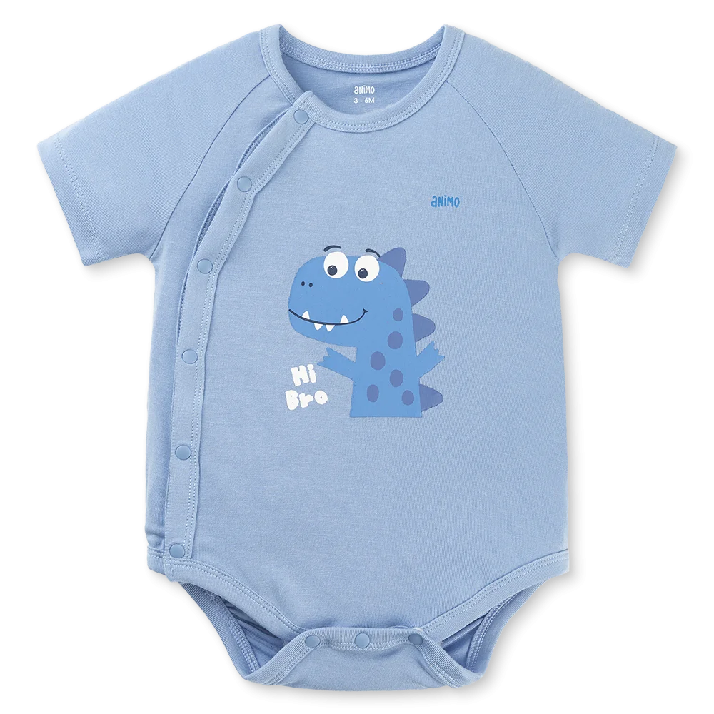 Set 2 Bodysuit kháng khuẩn Modal tam giác Animo VD0825021 (0-9M,Lá-dương,DD06)