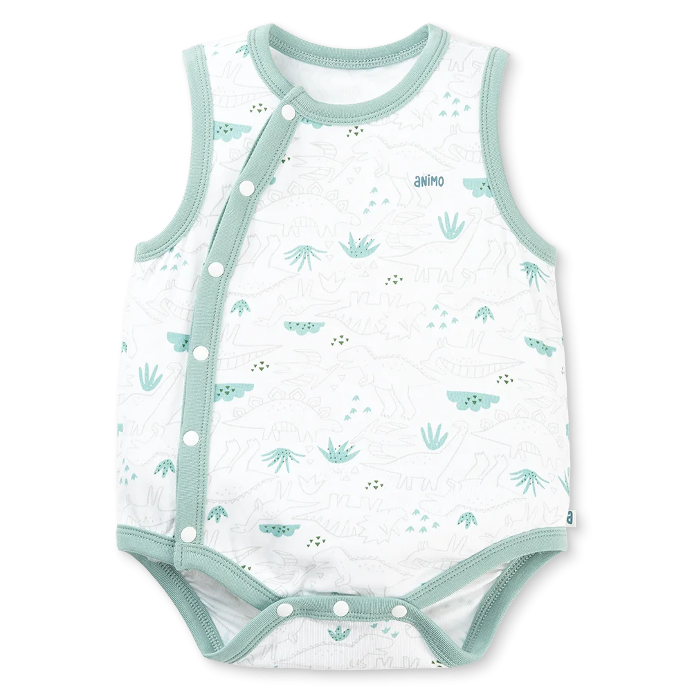 Set 2 Bodysuit kháng khuẩn Modal tam giác Animo VD0825021 (0-9M,Lá-dương,DD06)