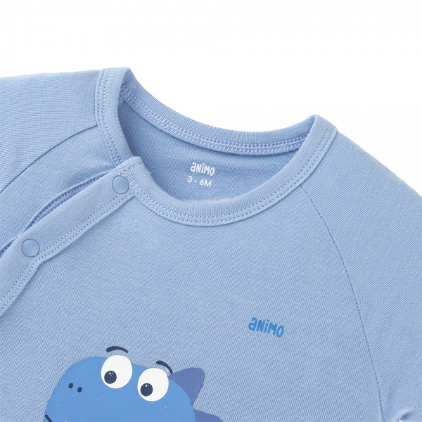 Set 2 Bodysuit kháng khuẩn Modal tam giác Animo VD0825021 (0-9M,Lá-dương,DD06)