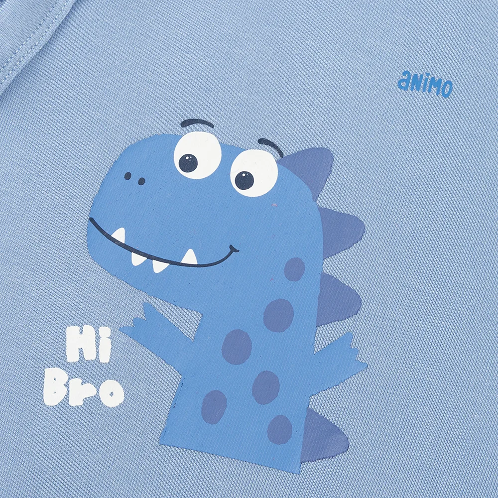 Set 2 Bodysuit kháng khuẩn Modal tam giác Animo VD0825021 (0-9M,Lá-dương,DD06)