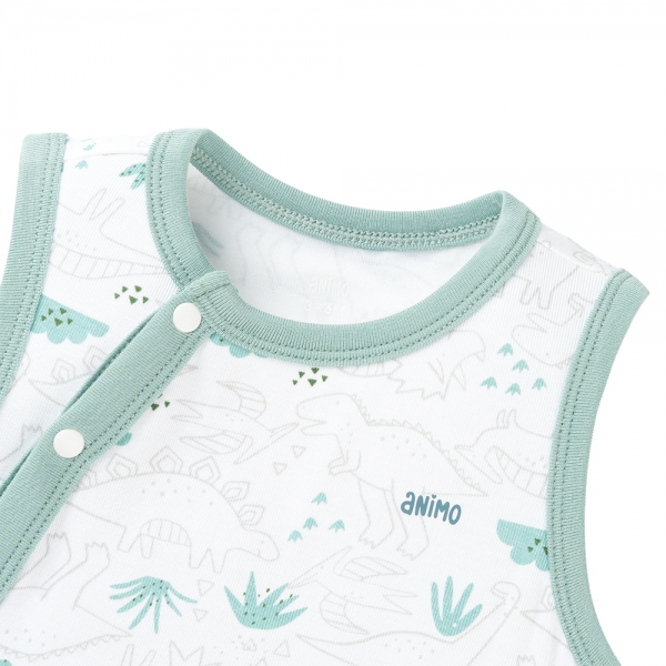Set 2 Bodysuit kháng khuẩn Modal tam giác Animo VD0825021 (0-9M,Lá-dương,DD06)