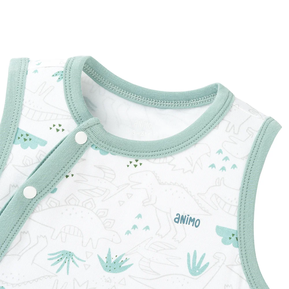 Set 2 Bodysuit kháng khuẩn Modal tam giác Animo VD0825021 (0-9M,Lá-dương,DD06)