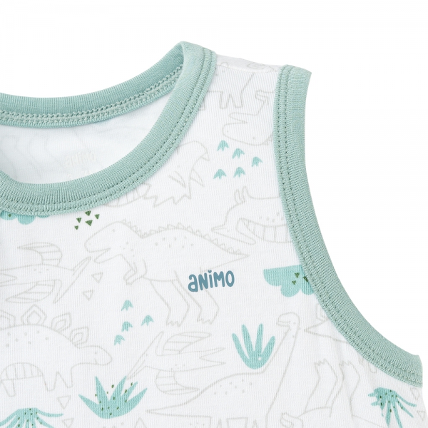 Set 2 Bodysuit kháng khuẩn Modal tam giác Animo VD0825021 (0-9M,Lá-dương,DD06)