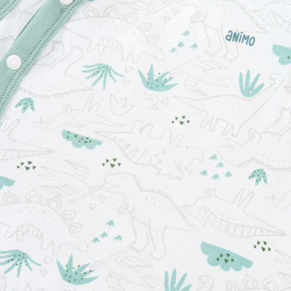 Set 2 Bodysuit kháng khuẩn Modal tam giác Animo VD0825021 (0-9M,Lá-dương,DD06)