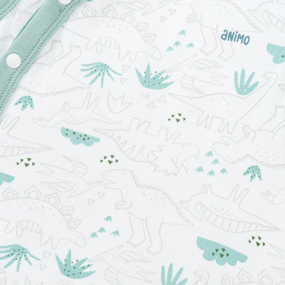 Set 2 Bodysuit kháng khuẩn Modal tam giác Animo VD0825021 (0-9M,Lá-dương,DD06)