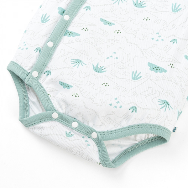 Set 2 Bodysuit kháng khuẩn Modal tam giác Animo VD0825021 (0-9M,Lá-dương,DD06)