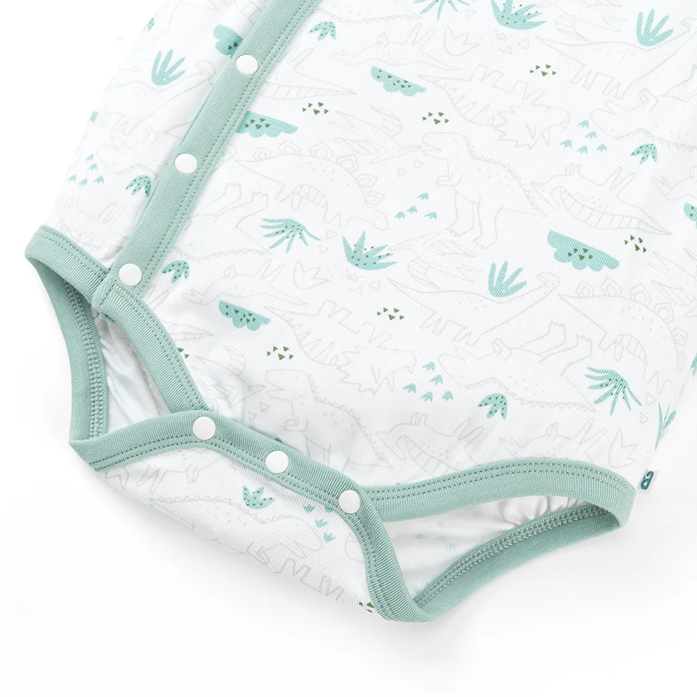 Set 2 Bodysuit kháng khuẩn Modal tam giác Animo VD0825021 (0-9M,Lá-dương,DD06)