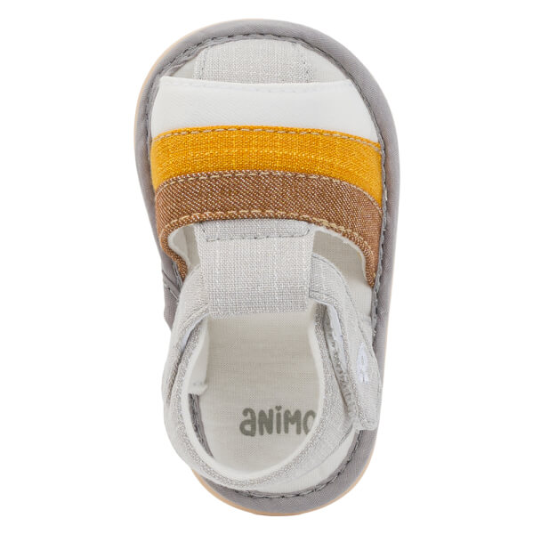 Giày tập đi cơ bản BT Animo A2511_MN006 (13-16, Nhiều màu)