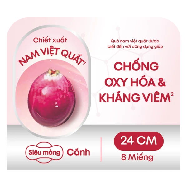 Băng vệ sinh Kotex Nam Việt Quất siêu mỏng cánh 24cm (8 miếng)