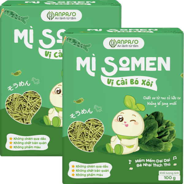 Combo 2 Mì Somen ăn dặm vị cải bó xôi Anpaso 100g