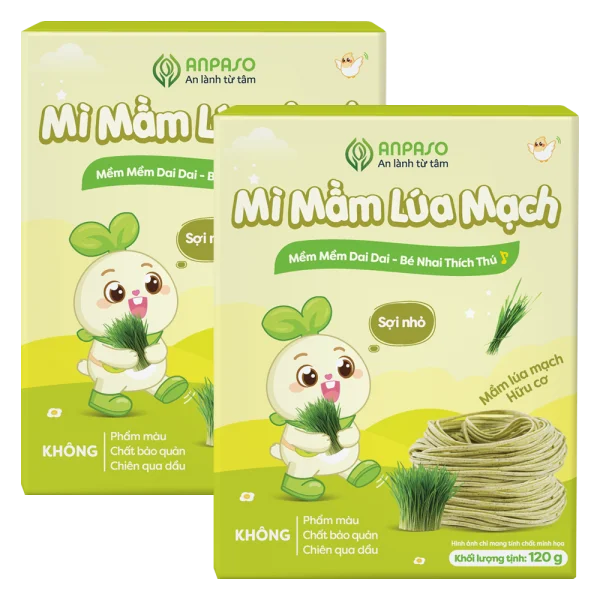 Combo 2 M&igrave; mầm l&uacute;a mạch ăn dặm cho b&eacute; Anpaso 120g *giao bao b&igrave; ngẫu nhi&ecirc;n