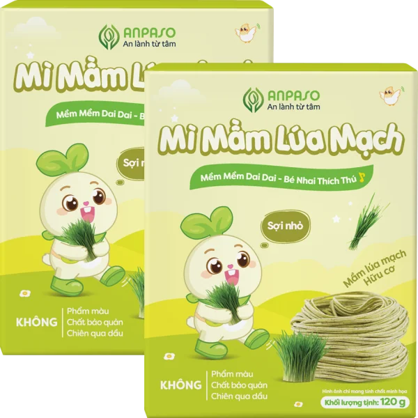 Combo 2 Mì mầm lúa mạch ăn dặm cho bé Anpaso 120g *giao bao bì ngẫu nhiên
