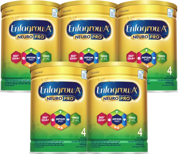 Combo 5 Sữa Enfagrow A+ số 4 1700g (2-6 tuổi) 2Flex