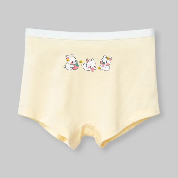 Bộ 3 quần lót bé gái đùi Animo ST0525040 (1-4Y,Nhiều màu,TT02) *giao hoạ tiết ngẫu nhiên
