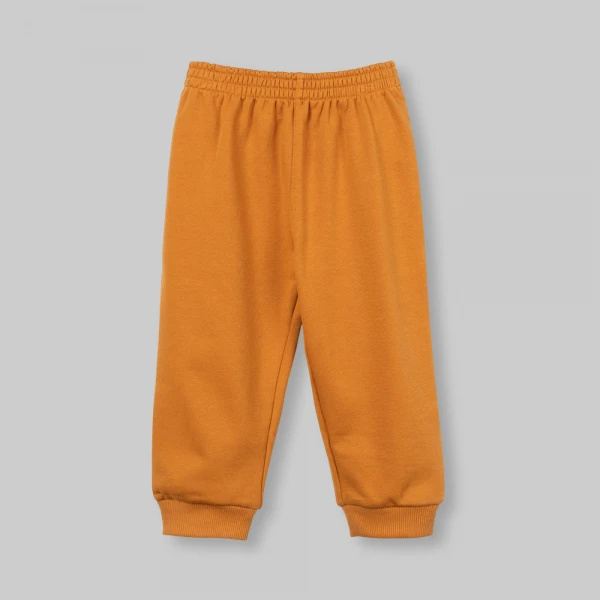 Bộ đông bé trai dài polo Animo Sồi và Sóc FW26 HN0826017 (1-4Y,Kem-Vàng)