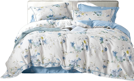 Bộ 6 món drap, áo gối và mền chần NIN Tencel 800 TC B2201_NH026 (160x200+35cm)