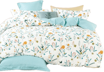Bộ 5 món drap, áo gối và mền chần NIN Calisto B2201_NH019 (180x200+30cm)