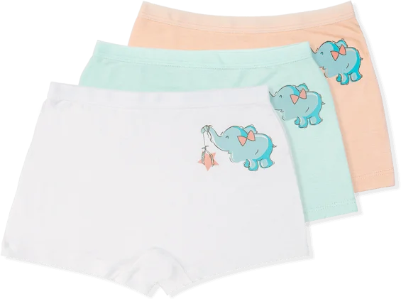 Bộ 3 quần lót bé gái đùi Animo VĐ223005 (2-6Y,Nhiều màu)