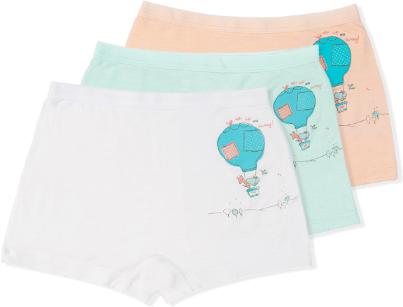 Bộ 3 quần lót bé gái đùi Animo VĐ223006 (2-6Y,Nhiều màu)