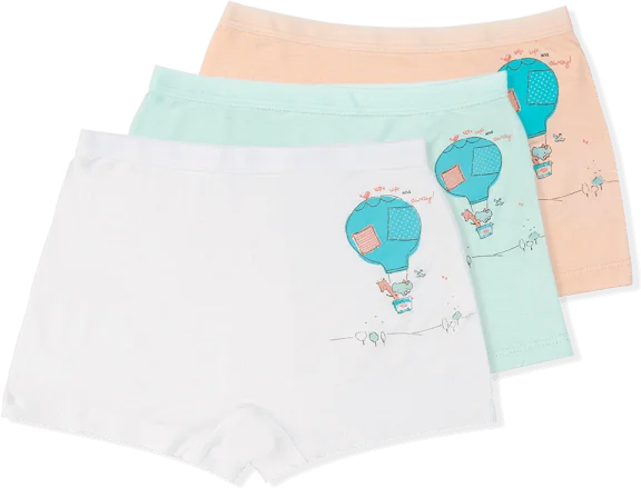 Bộ 3 quần lót bé gái đùi Animo VĐ223006 (2-6Y,Nhiều màu)