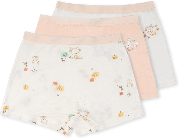 Bộ 3 quần lót bé gái đùi Animo VĐ223009 (2-6Y,Nhiều màu)