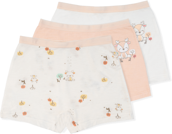 Bộ 3 quần lót bé gái đùi Animo VĐ223010 (2-6Y,Nhiều màu)