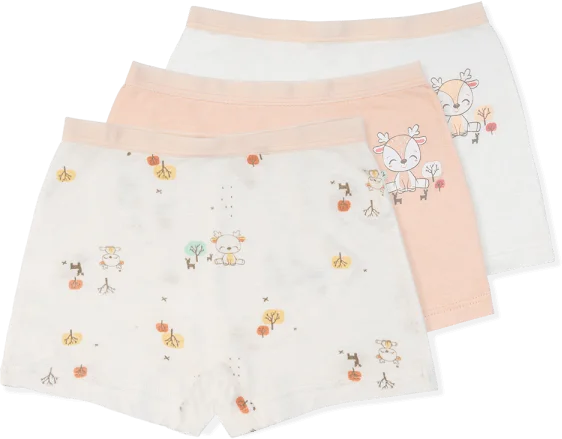 Bộ 3 quần lót bé gái đùi Animo VĐ223010 (2-6Y,Nhiều màu)