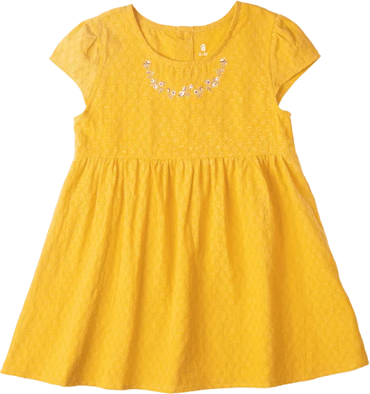 Đầm vải bé gái thêu hoa Animo TX1122076 (6M-6Y,Vàng)