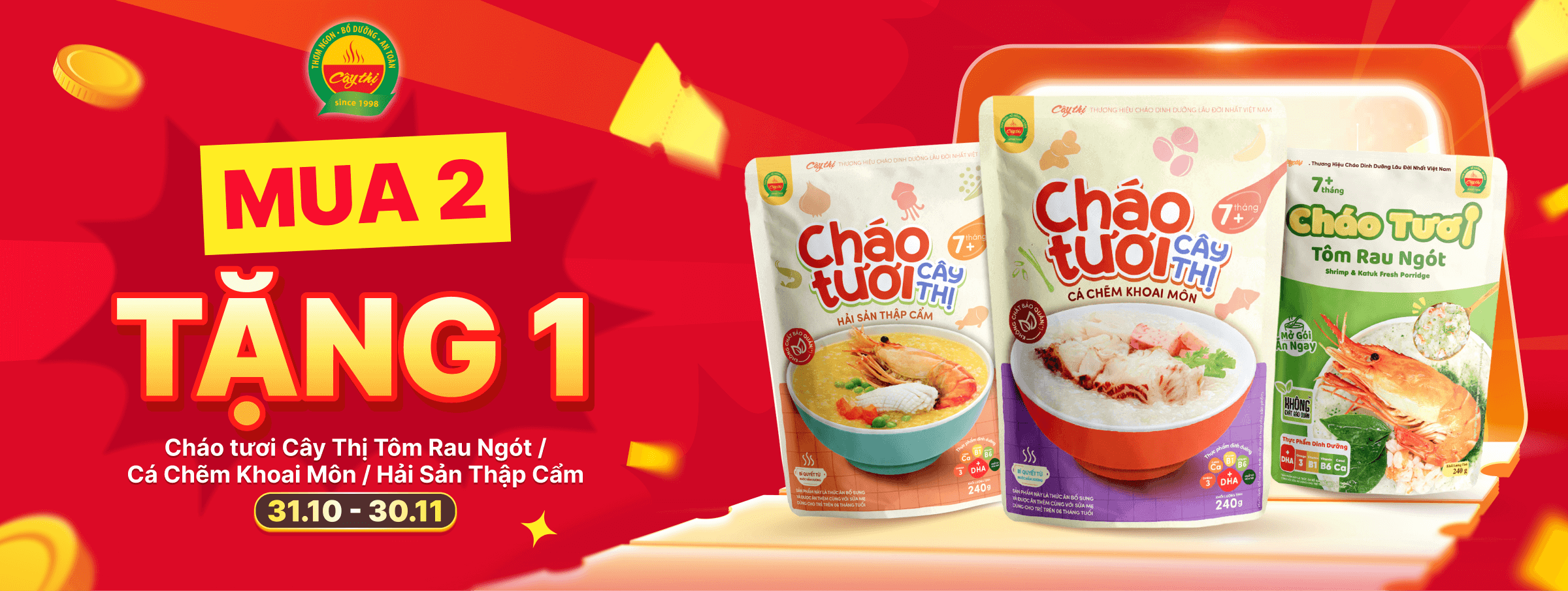 CÂY THỊ T11 - CATE