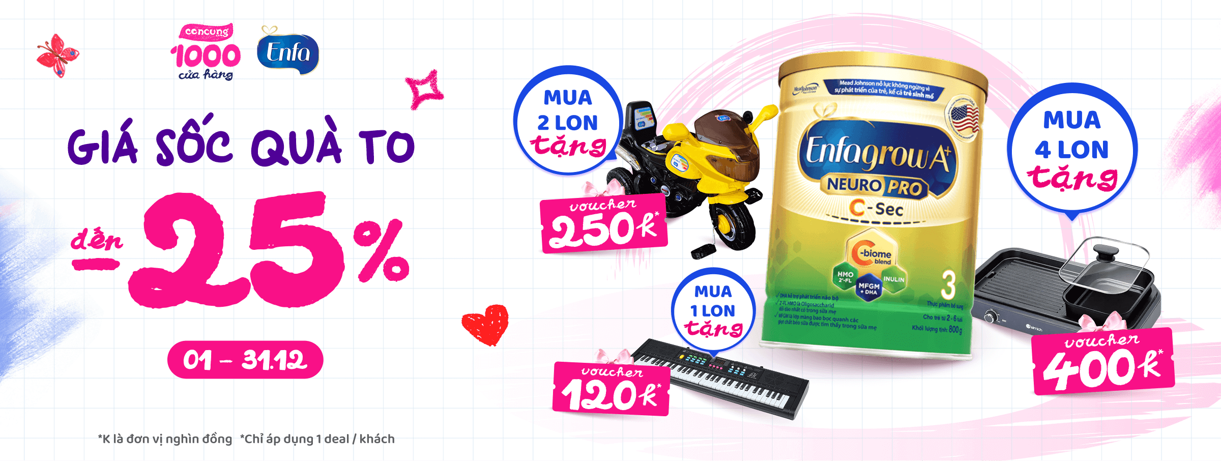 Enfa C-Sec T12 - SIS