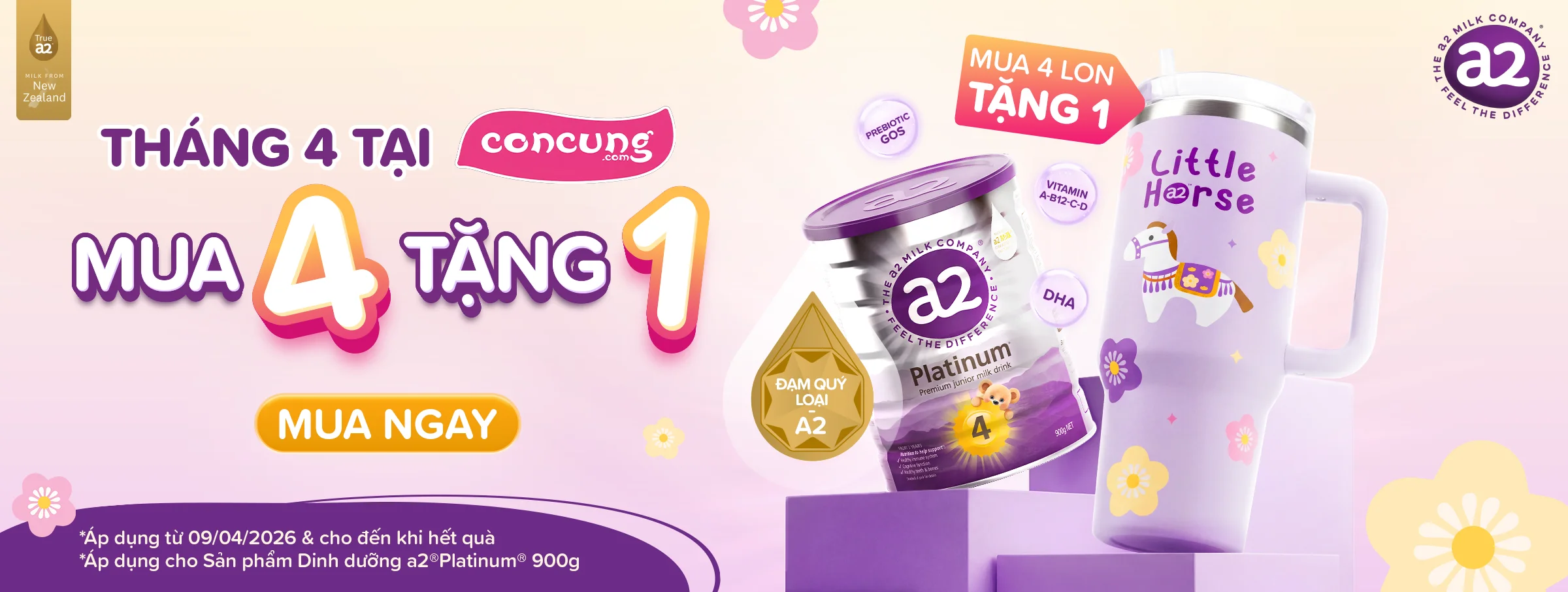 A2 Platinum T4 - CATE & SIS