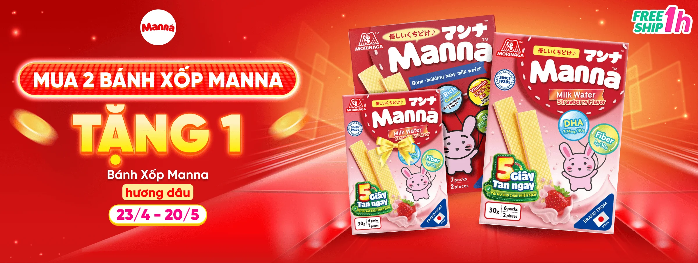 MANNA T5 - CATE & SIS