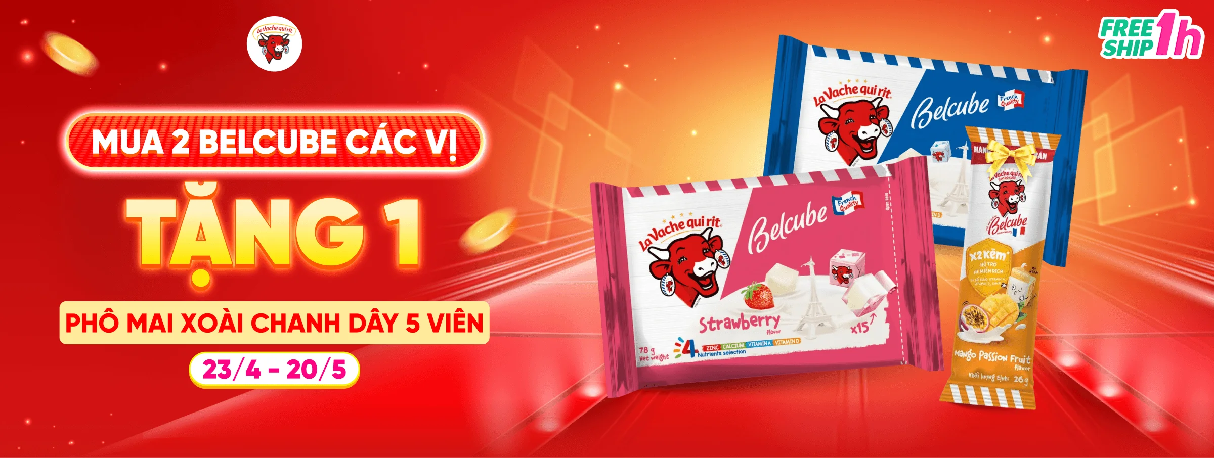 BELCUBE T5 - CATE & SIS