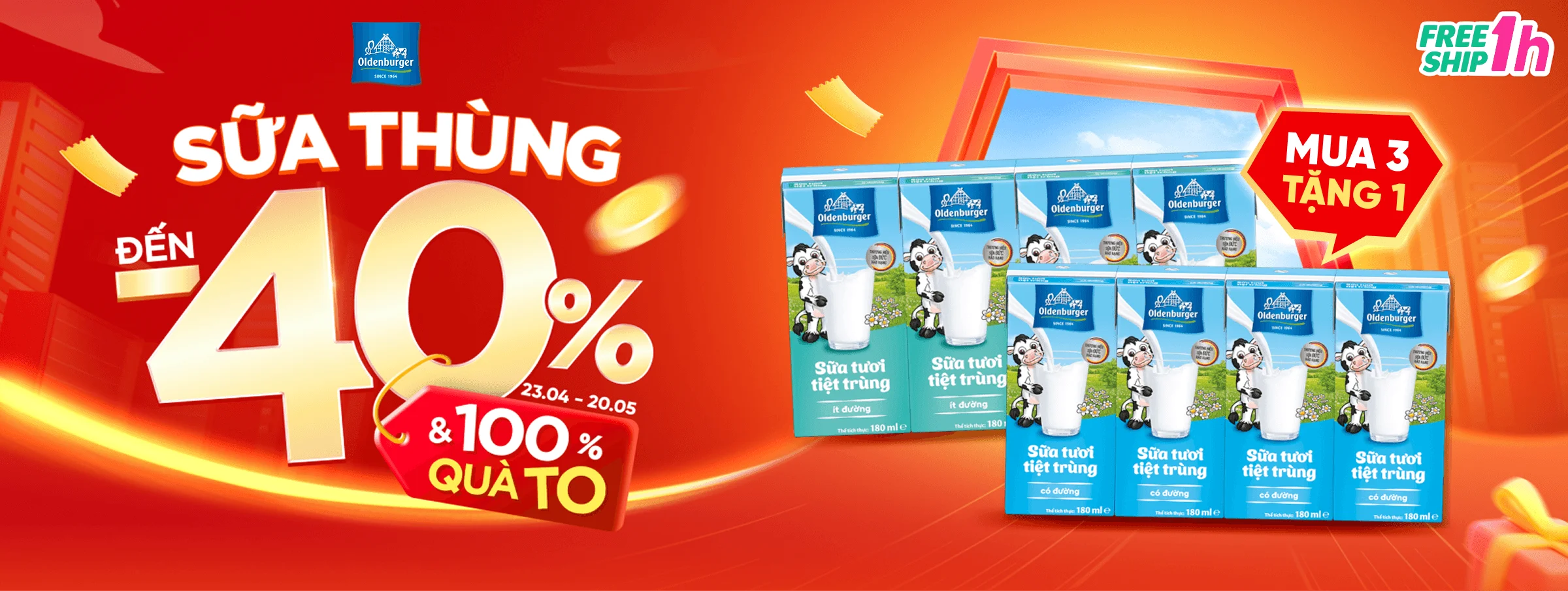 Oldenburger T5 - CATE