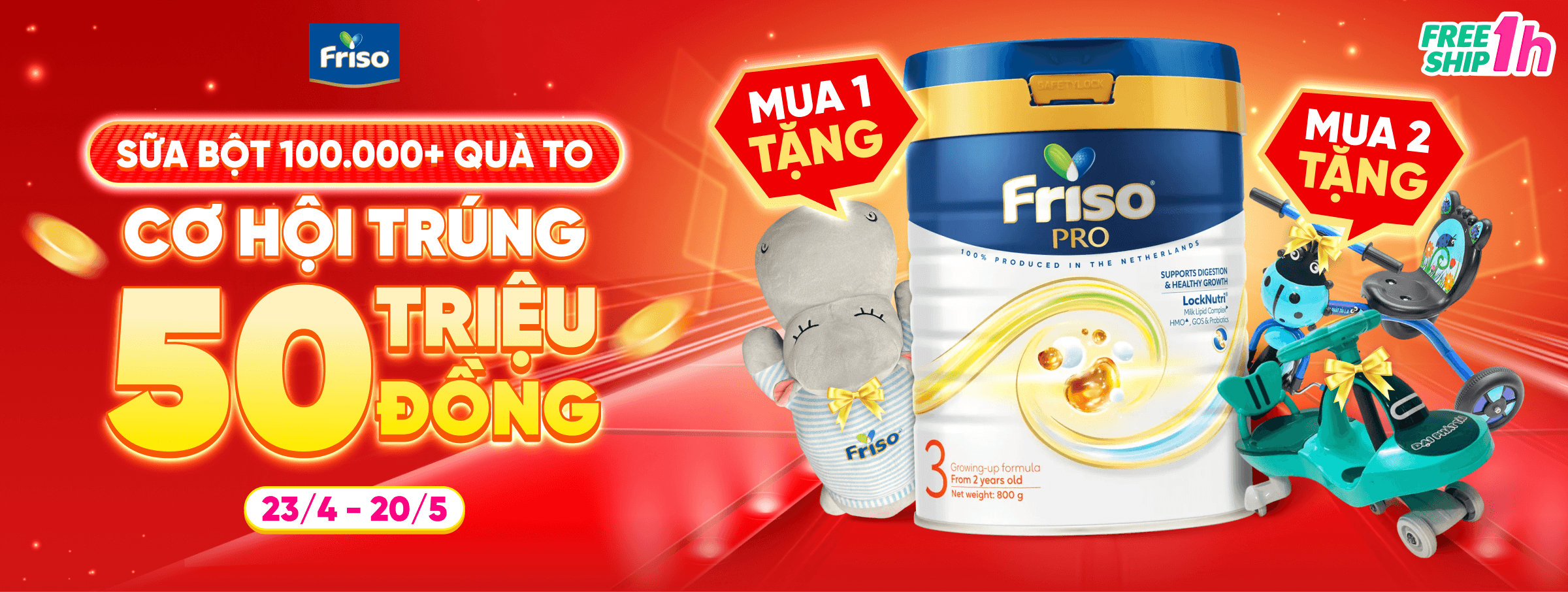 Friso Pro T5 - CATE & SIS