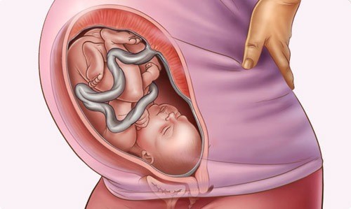Các chỉ số phát triển đáng lưu tâm của thai nhi 35 tuần