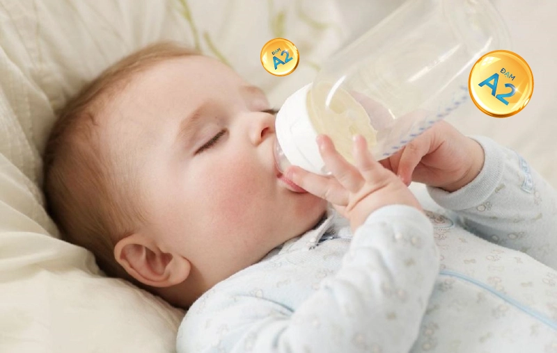 Đạm A2 - Tiêu chí chọn sữa tốt cho hệ tiêu hóa của trẻ sơ sinh và trẻ nhỏ