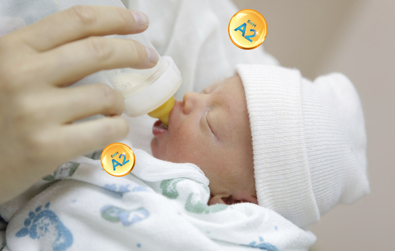Có nên cho trẻ sơ sinh uống sữa đạm A2 không? 