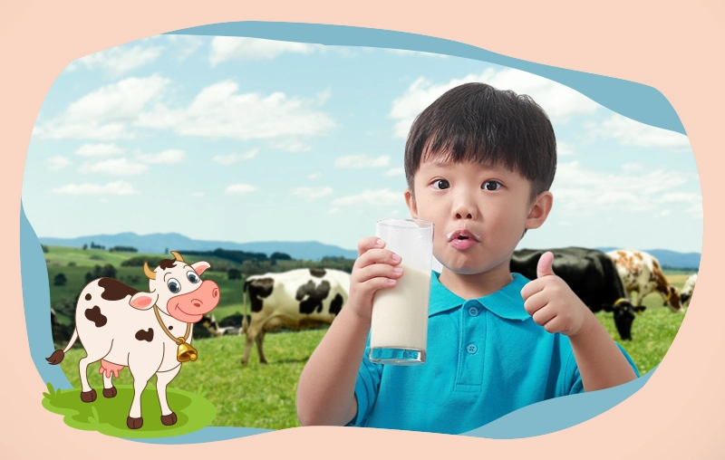 Vì sao các loại sữa Úc lại được nhiều ba mẹ tin chọn?