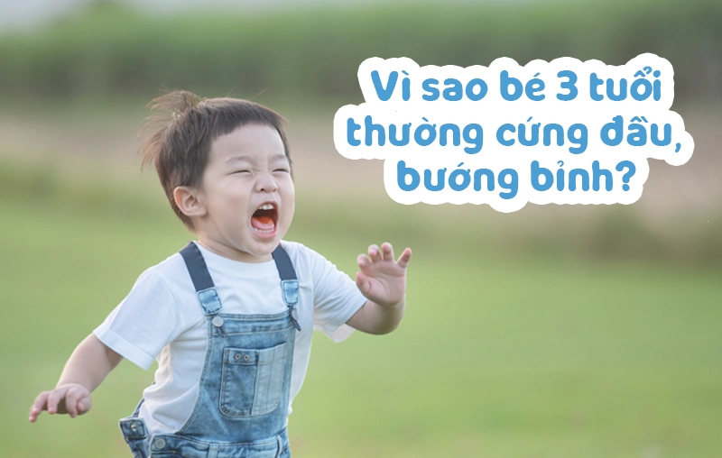 [Giải đáp] - Vì sao bé 3 tuổi thường cứng đầu, bướng bỉnh?