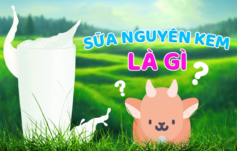 Sữa nguyên kem là gì? Có nên cho bé uống sữa nguyên kem không?