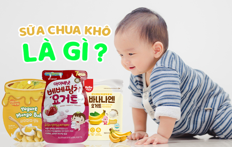 Sữa chua khô là gì? Công dụng của sữa chua sấy khô đối với trẻ em 