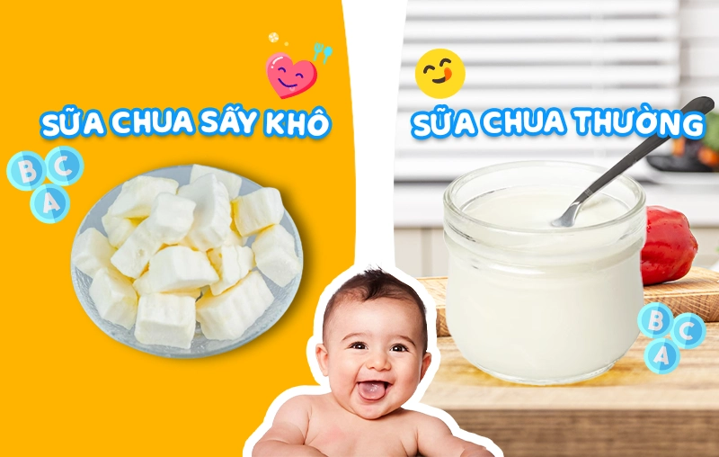 Sữa chua sấy khô & sữa chua thông thường: Loại nào tốt hơn cho bé? 