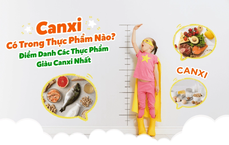 Canxi có trong thực phẩm nào? Điểm danh các thực phẩm giàu canxi nhất