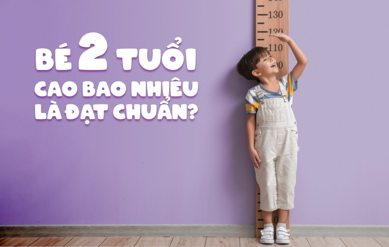 Bé 2 tuổi cao bao nhiêu cm là đạt chuẩn? Cách giúp bé tăng trưởng chiều cao hiệu quả