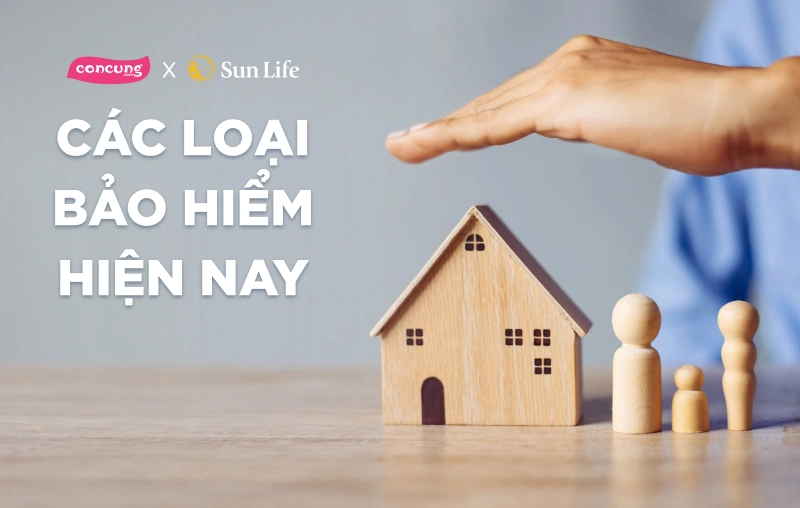 Tổng hợp các loại bảo hiểm hiện nay tại Việt Nam và cách phân biệt